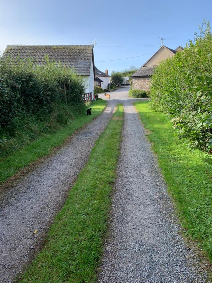 The Reindeer Retreat Buttercup Twin Hotel Kidwelly Luaran gambar